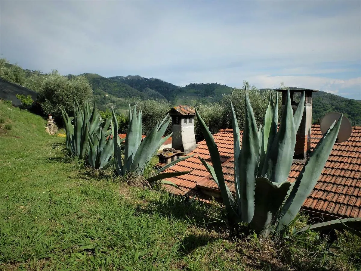 Holiday home La Smarrita Villa Stiava