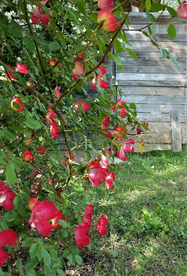 Casa vacanze La Smarrita Villa Stiava